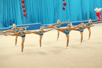 © ВФЭГ (RFAG)