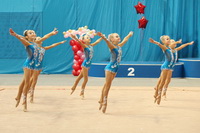 © ВФЭГ (RFAG)