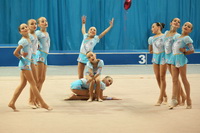 © ВФЭГ (RFAG)