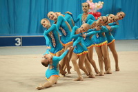 © ВФЭГ (RFAG)
