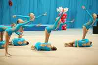 © ВФЭГ (RFAG)