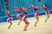 © ВФЭГ (RFAG)