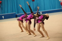 © ВФЭГ (RFAG)