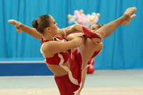 © ВФЭГ (RFAG)