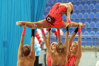 © ВФЭГ (RFAG)