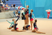 © ВФЭГ (RFAG)