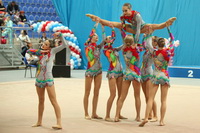 © ВФЭГ (RFAG)