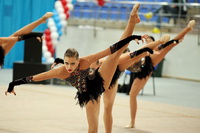 © ВФЭГ (RFAG)