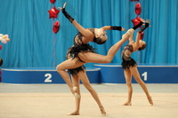 © ВФЭГ (RFAG)