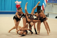 © ВФЭГ (RFAG)