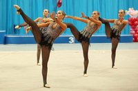 © ВФЭГ (RFAG)