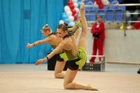 © ВФЭГ (RFAG)