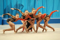 © ВФЭГ (RFAG)