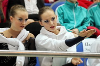 © ВФЭГ (RFAG)
