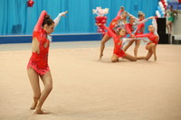 © ВФЭГ (RFAG)