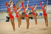 © ВФЭГ (RFAG)