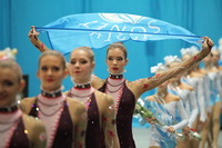 © ВФЭГ (RFAG)