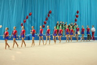 © ВФЭГ (RFAG)