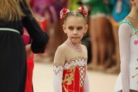 © ВФЭГ (RFAG)