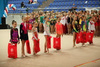 © ВФЭГ (RFAG)