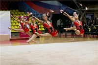 © ВФЭГ (RFAG)