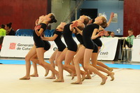 © ВФЭГ (RFAG)