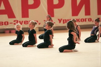 © ВФЭГ (RFAG)