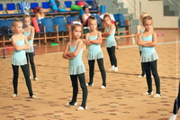 © ВФЭГ (RFAG)