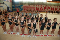 © ВФЭГ (RFAG)