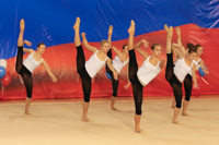© ВФЭГ (RFAG)