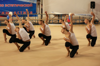 © ВФЭГ (RFAG)