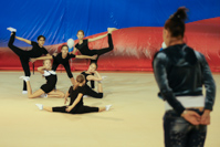 © ВФЭГ (RFAG)