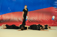 © ВФЭГ (RFAG)