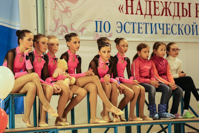© ВФЭГ (RFAG)