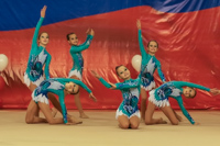 © ВФЭГ (RFAG)