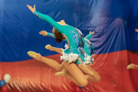 © ВФЭГ (RFAG)