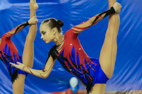 © ВФЭГ (RFAG)