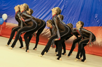 © ВФЭГ (RFAG)