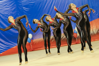 © ВФЭГ (RFAG)