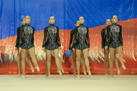 © ВФЭГ (RFAG)