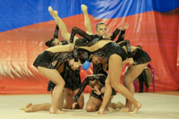 © ВФЭГ (RFAG)