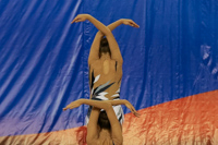 © ВФЭГ (RFAG)