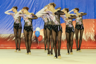 © ВФЭГ (RFAG)