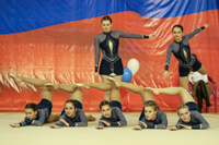 © ВФЭГ (RFAG)