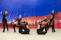 © ВФЭГ (RFAG)