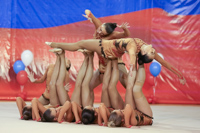© ВФЭГ (RFAG)