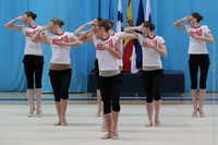© ВФЭГ (RFAG)