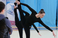 © ВФЭГ (RFAG)