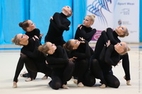 © ВФЭГ (RFAG)