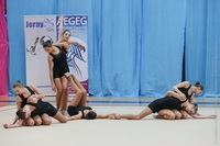 © ВФЭГ (RFAG)